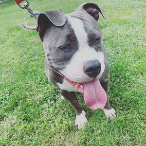 Meet your Posher, Aly